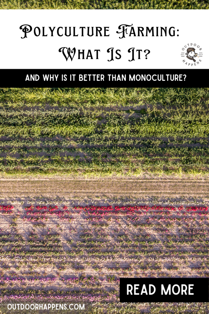 Polyculture Farming - What Is It and Why Is It Better Than Monoculture?