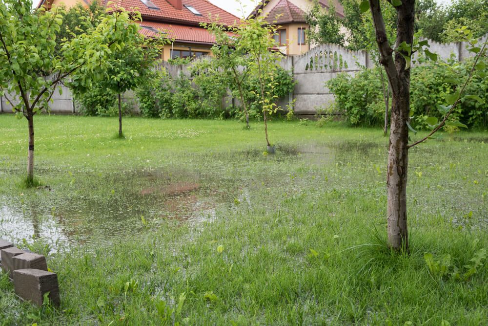 flooded garden from heavy downpours during summer