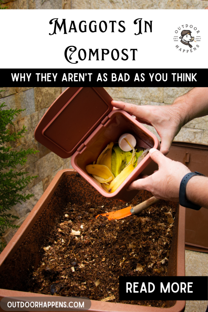 maggots-in-compost-why-they-arent-as-bad-as-you-think