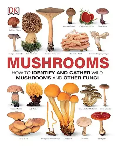 Mushrooms: How to Identify and Gather Wild Mushrooms and Other Fungi | DK