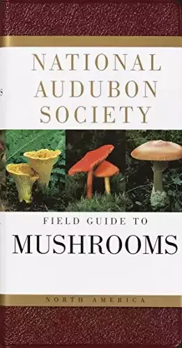 Field Guide to North American Mushrooms | National Audubon Society