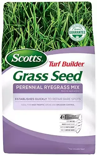 Turf Builder Grass Seed Perennial Ryegrass Mix | Scotts