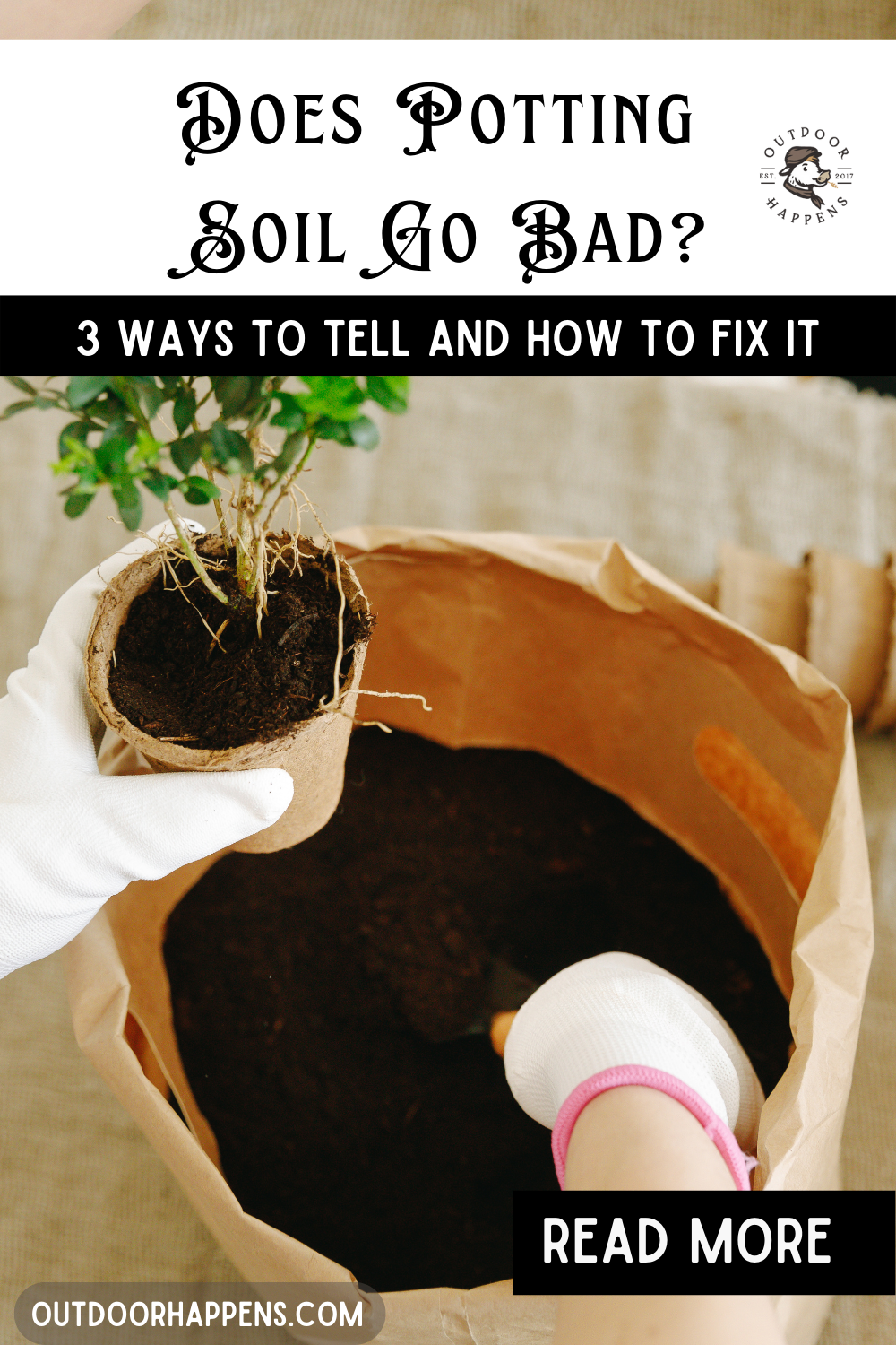 Does Potting Soil Go Bad? 3 Ways To Tell And How To Fix It