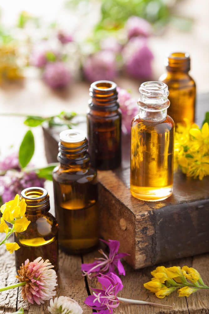flowers herbs and essential oils in glass bottles