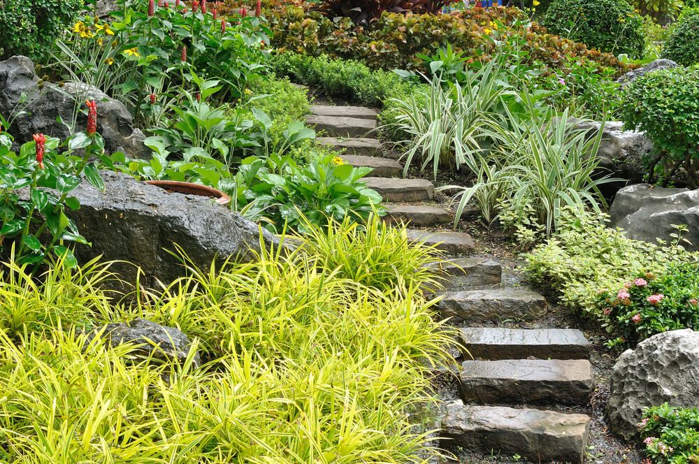 stone steps going up a sloped hill with bright green foliage