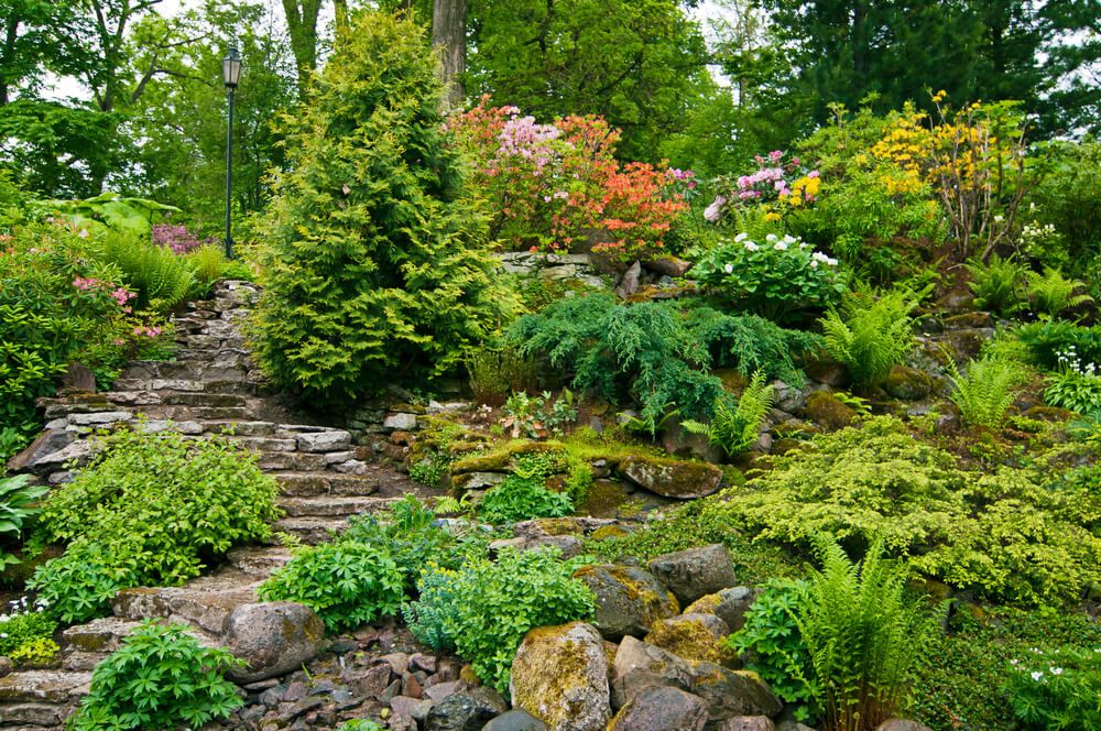 thick green rockery garden with stone steps and robust rhododendrons
