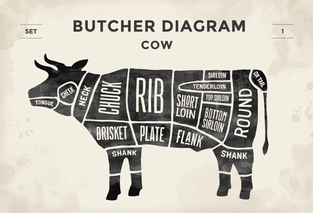 vintage typographic hand drawn cow butcher diagram. how much meat is half a cow