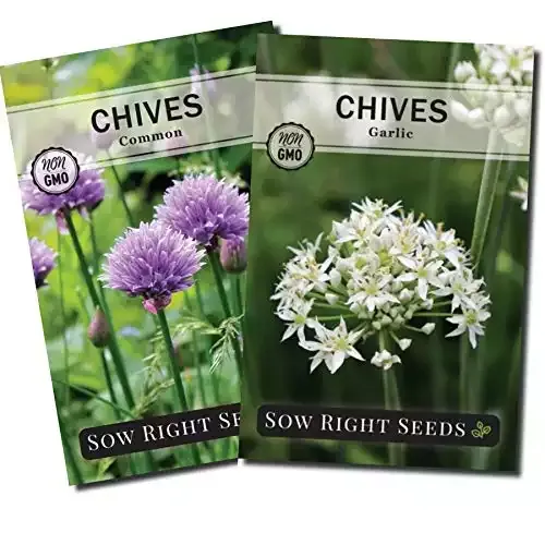 Chive Seed Collection for Planting | Sow Right Seeds