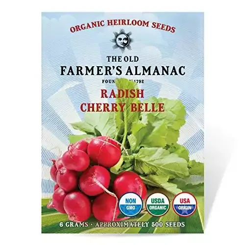 Organic Cherry Belle Radish Seeds | The Old Farmer’s Almanac