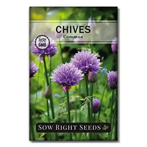 Chives Seed for Planting - Non-GMO Heirloom | Sow Right Seeds