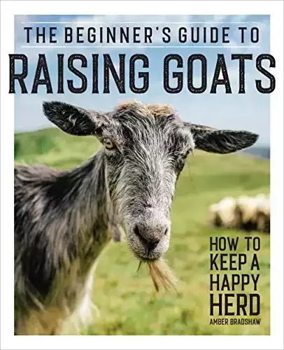 The Beginner’s Guide to Raising Goats: How to Keep a Happy Herd | Amber Bradshaw
