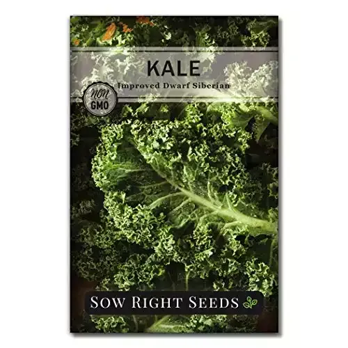Sow Right Seeds - Dwarf Siberian Improved Kale Seed for Planting - Non-GMO Heirloom Packet
