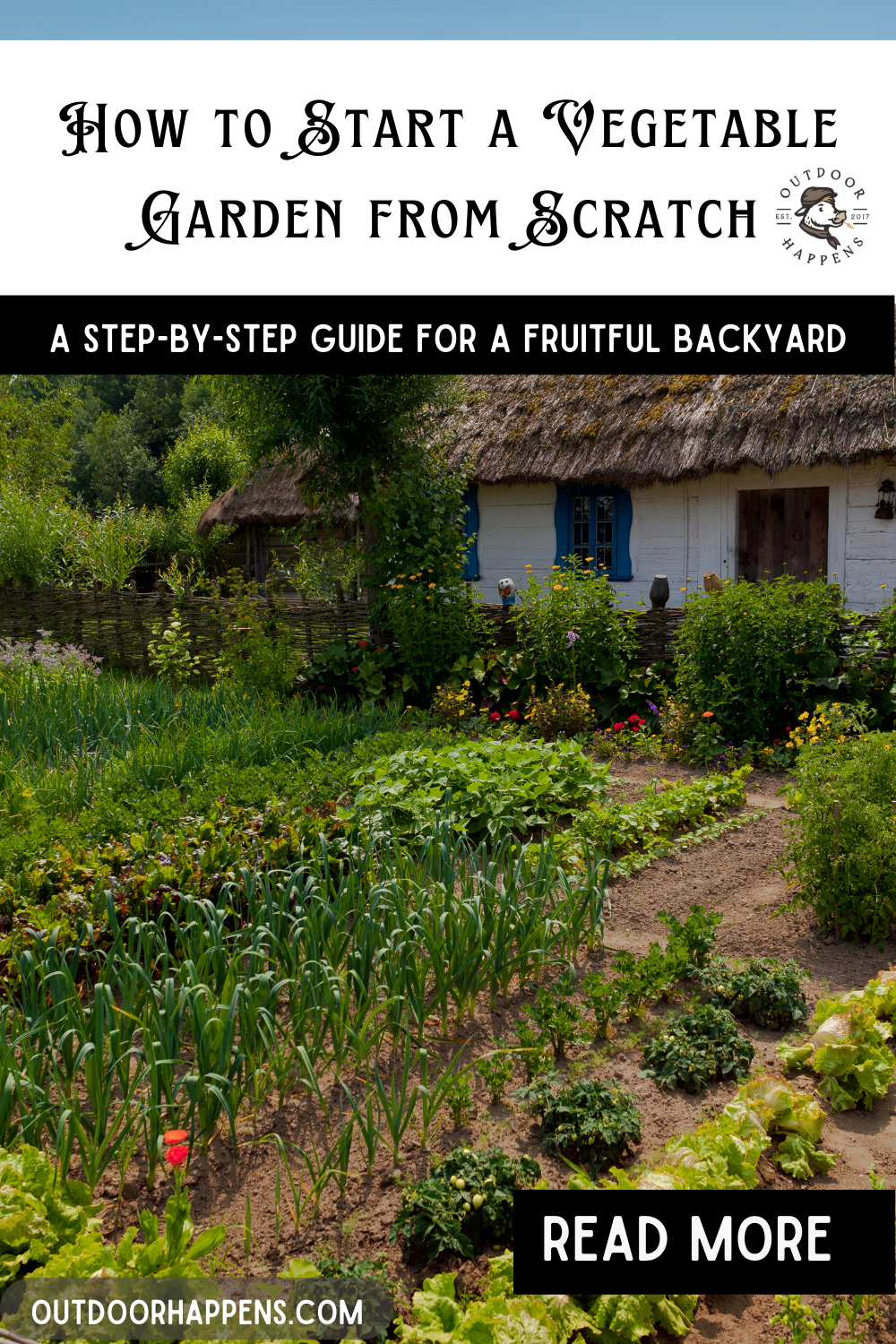 How to Start a Vegetable Garden from Scratch in Your Backyard [Step-by-Step Guide]