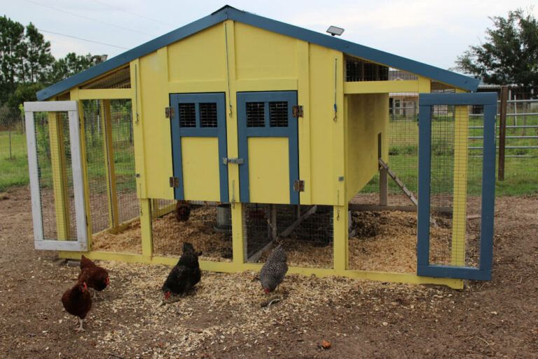 chic looking chicken coop with a lovely pastel color scheme