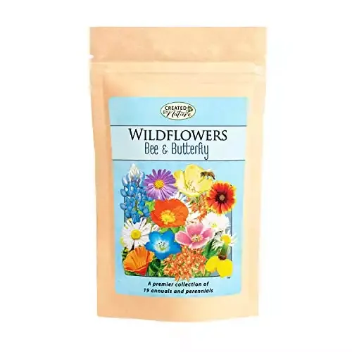 Bee & Butterfly Wildflower Bulk Seed Mix | Nature Store