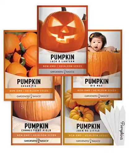 Pumpkin Seeds to Plant - 5 Variety Baby Boo, Giant Big Max, Jack Be Little, Jack O Lantern, Sugar Pie, Great for Pumpkin Seed for Summer, Fall, Pumpkin Seeds for Planting | Gardeners Basics