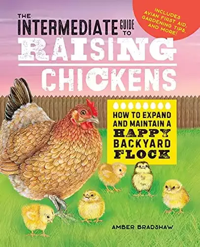 The Intermediate Guide to Raising Chickens | Amber Bradshaw