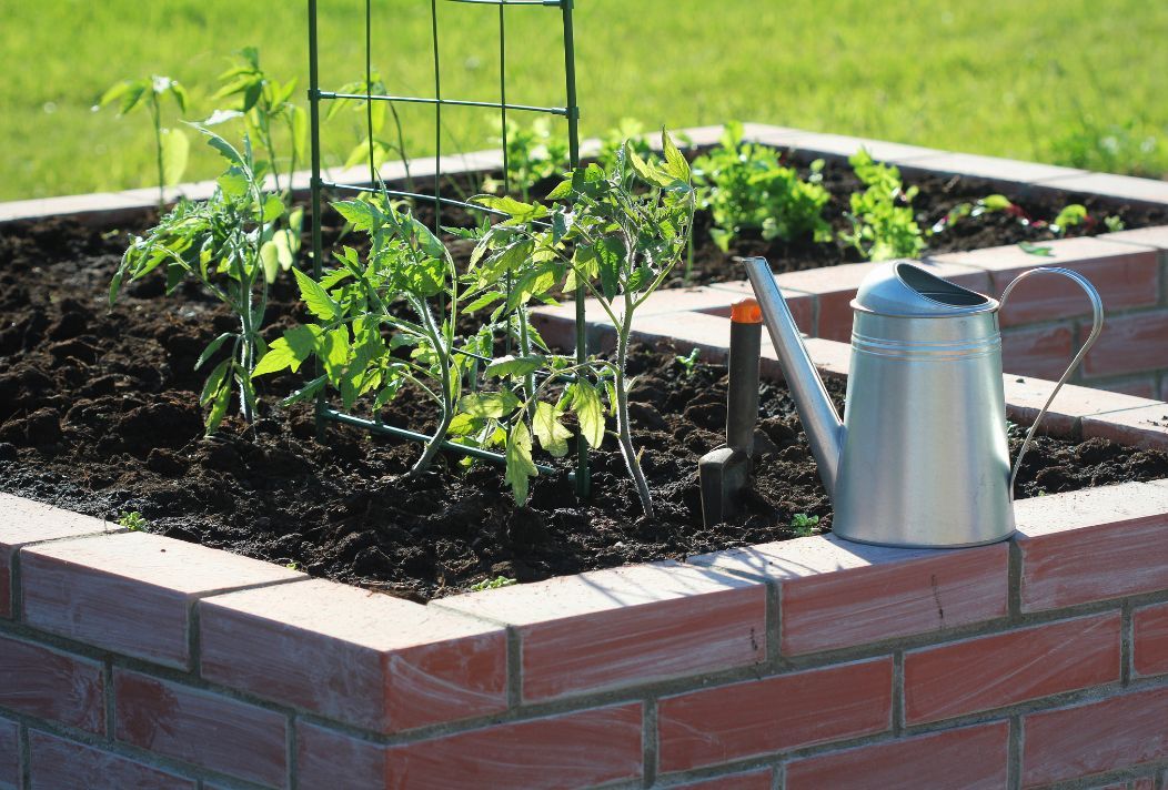 watering can sitting on raised garden bed