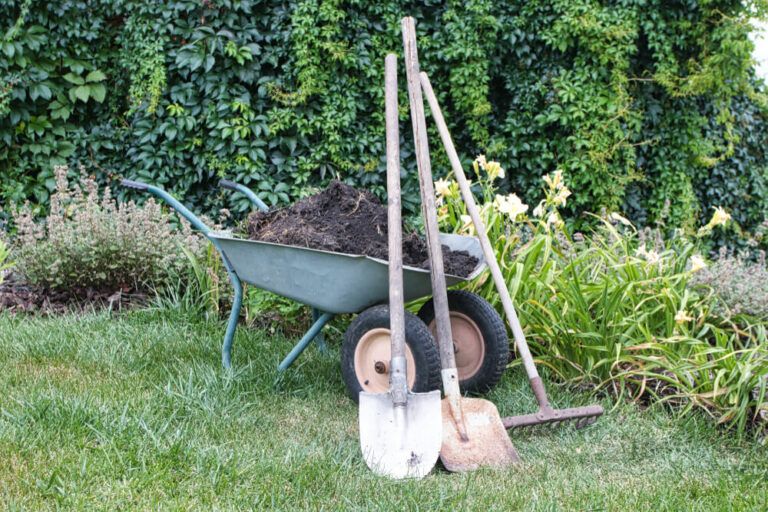 Spade vs Shovel – Which Is Best for Trenching, Gardens, Dirt, and Snow?