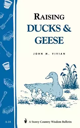 Raising Ducks & Geese: Storey's Country Wisdom Bulletin A-18 | John Vivian