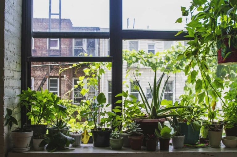 9+ Smart Ways to Start Apartment Homesteading Today [Self-Sufficient Urban Living]