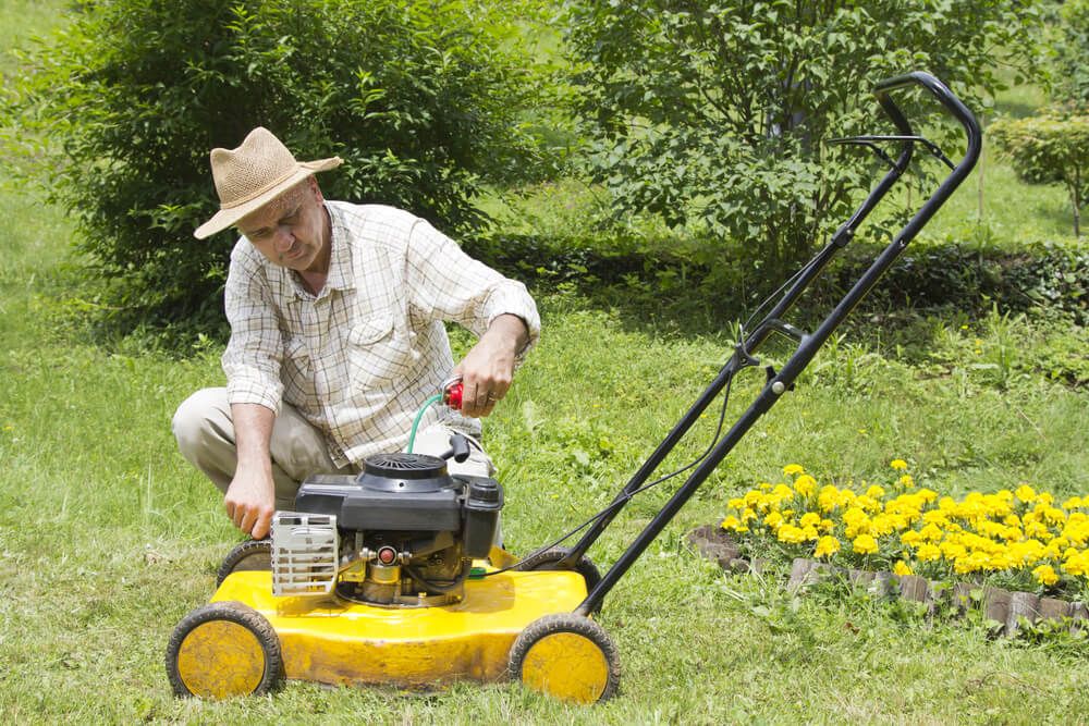 repairing and oiling the lawnmower in the lush green garden