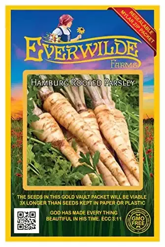 Hamburg Rooted Parsley Seeds | Everwilde Farms