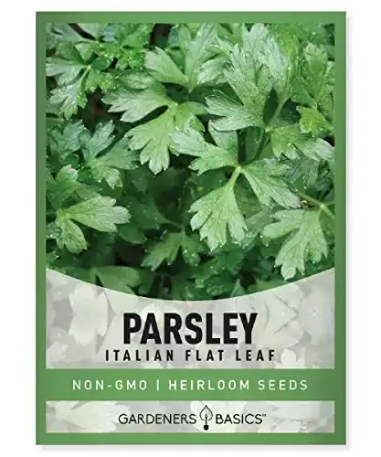 Heirloom Italian Parsley Seeds | Gardener's Basics