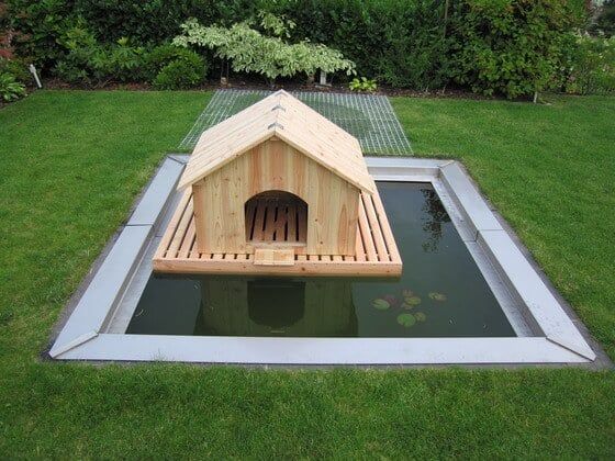 beautiful floating duck house floating on water