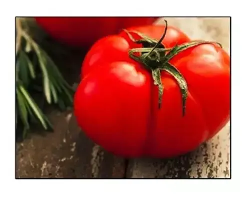 250 Beefsteak Tomato Seeds | Non-GMO | Fresh Garden Seeds | Instant Latch
