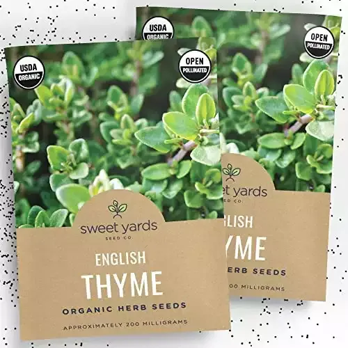 Organic English Thyme Seeds | Two Seed Packets! | Over 1,600 Open Pollinated Non-GMO Seeds | Sweet Yards Seed Co.