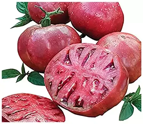Cherokee Purple Heirloom Tomato Seeds | Non-GMO | Marde Ross & Company