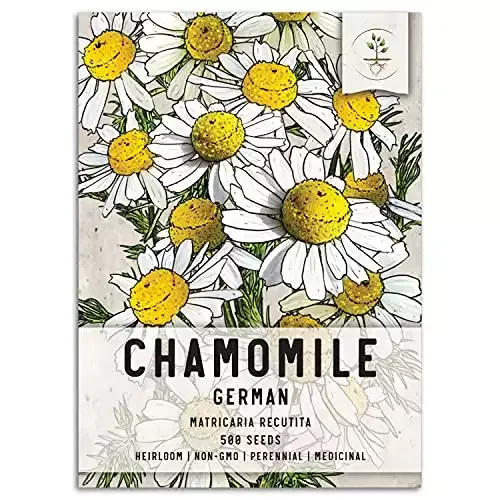 German Chamomile Medicinal Herb Seeds for Planting | Heirloom, Non-GMO | Seed Needs