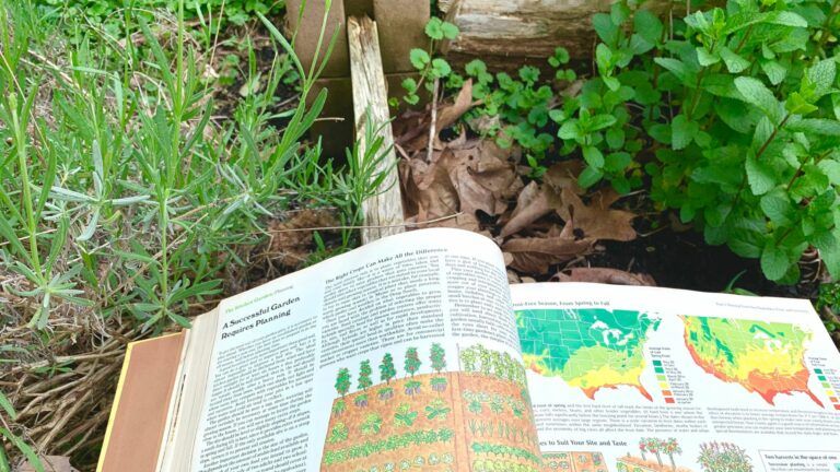 9 Best Self Sufficient Living Books for Homesteaders and Pioneers