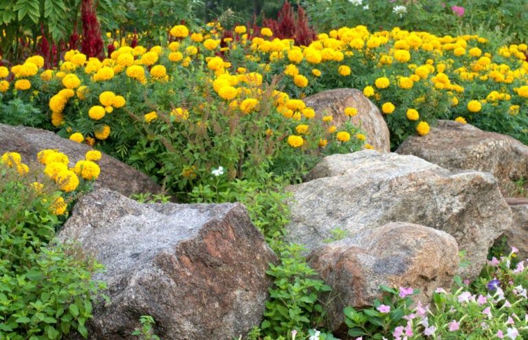 11 Creative Small Corner Rock Garden Ideas for Your Outdoor Space