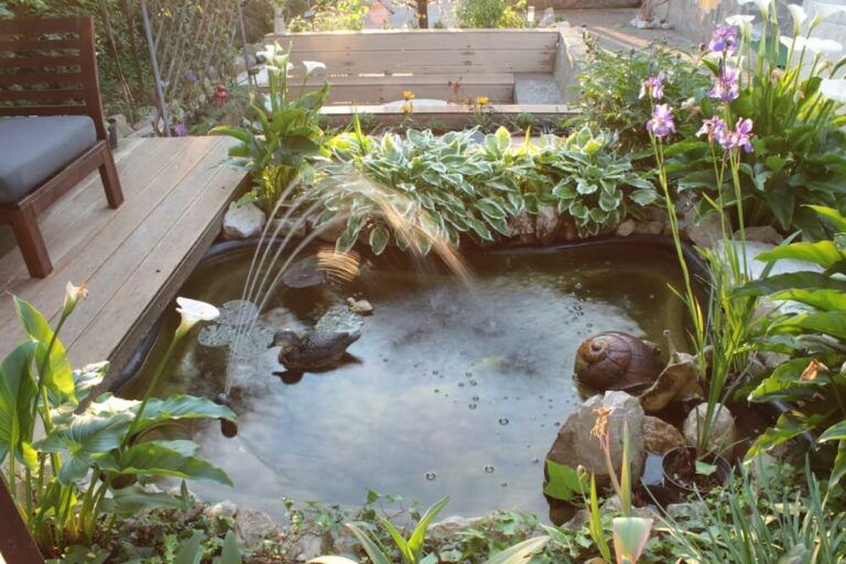 21 Innovative Duck Pond Ideas to Suit Every Budget, Yard, and Style