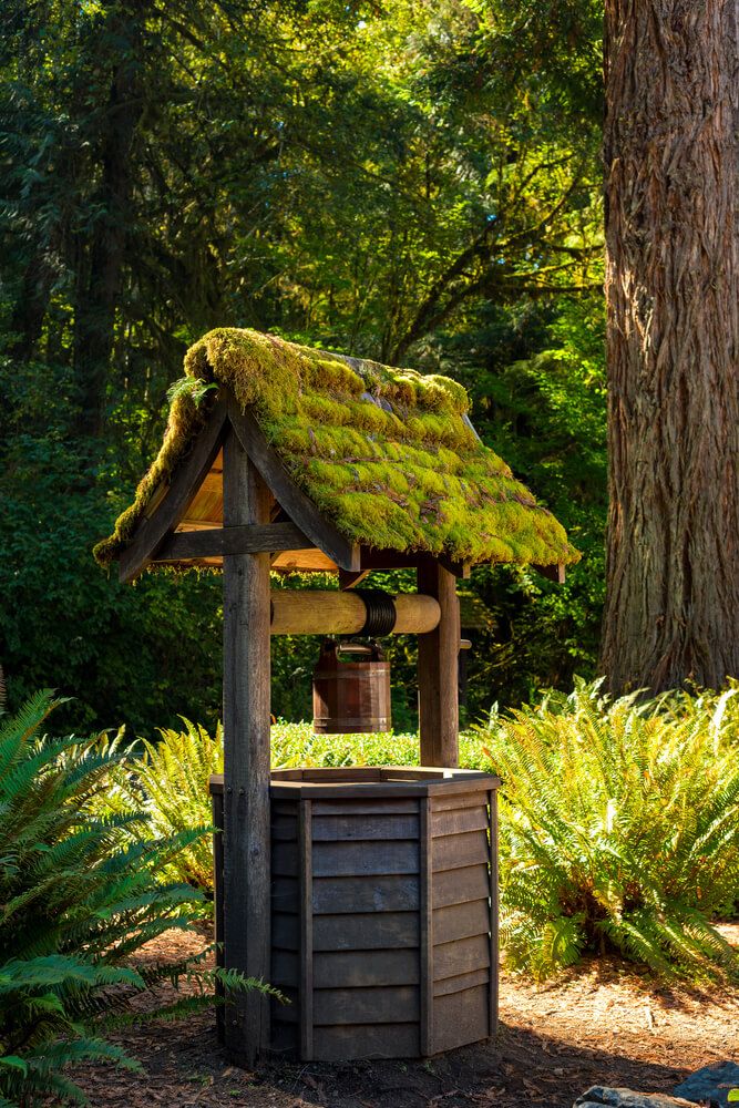 lovely and rural wishing well with mossy roof