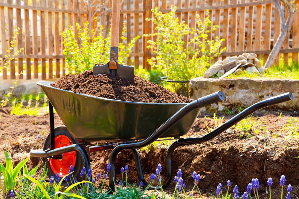 wheelbarrow stuffed with fresh organic compost for amending the garden soil