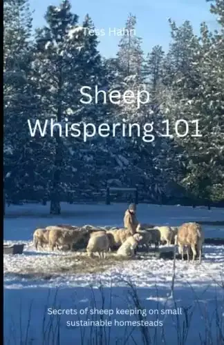 Sheep Whispering 101 – Secrets of Sheep Keeping on Small Sustainable Homesteads | Tess Hahn