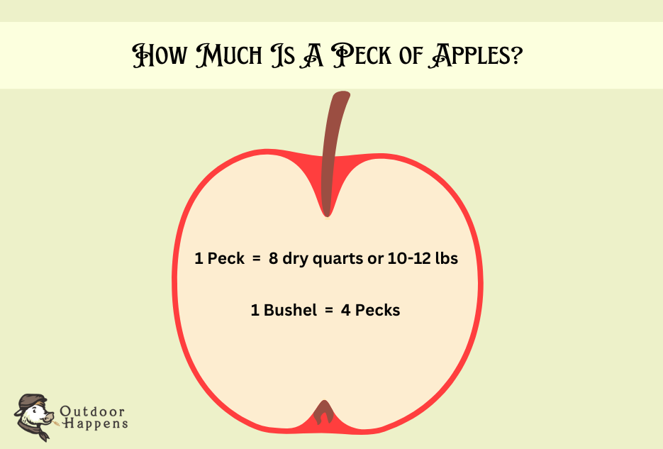 how much is a peck of apples chart