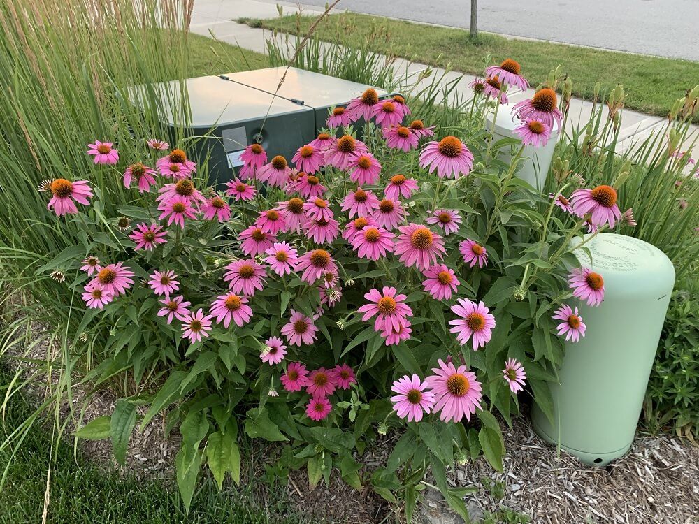 custom diy utility box cover with lovely pink flowers