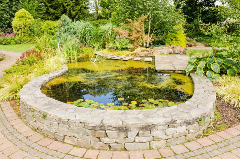 10+ Raised Garden Pond Ideas for Backyard Relaxation, Ambiance, and Goldfish!
