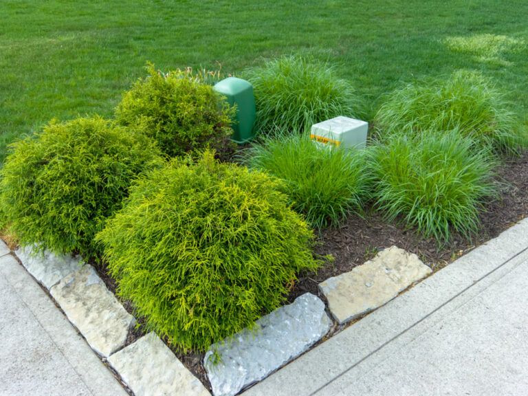 Out of Sight, Out of Mind: 15 Landscaping Ideas To Hide Utility Boxes