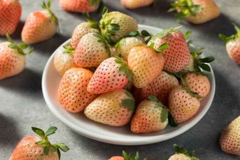 How to Grow Pineberries for an Abundant and Tasty Fruit Harvest