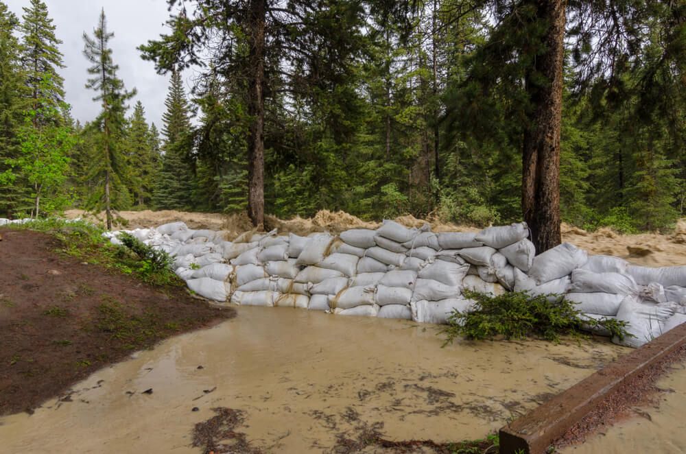 two trees getting protected from an overflowing river by using earthbags or sandbags