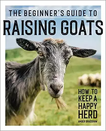 The Beginner's Guide to Raising Goats: How to Keep a Happy Herd | Amber Bradshaw