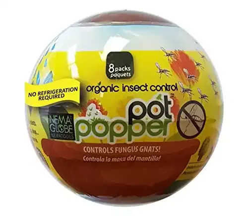 Nema Globe Pot Popper Organic Indoor Fungus Gnat & Insect Control