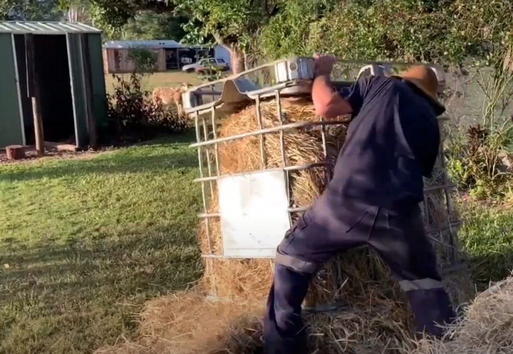 loading the round bale into the hay feeder for our cattle