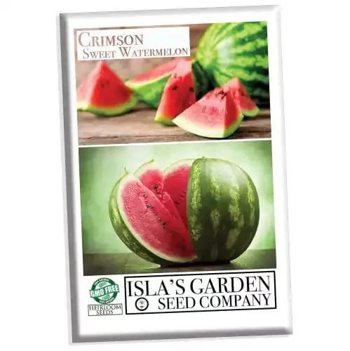 150+ Heirloom Crimson Sweet Watermelon Seeds