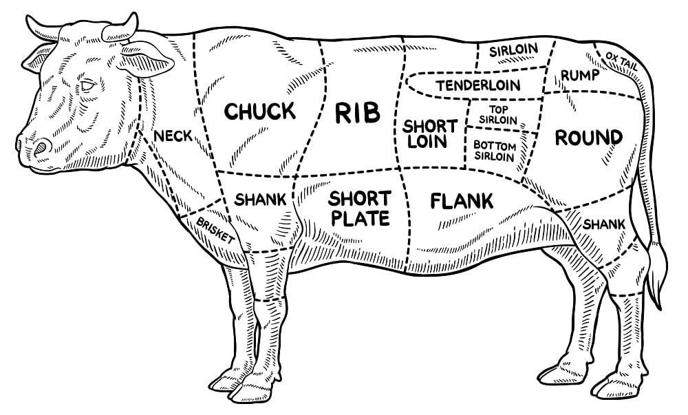 Cartoon vector depicting meat beef cuts from the butcher.